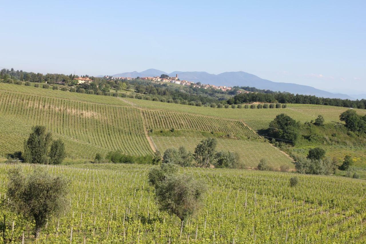 Terricciola Tuscany Life מראה חיצוני תמונה