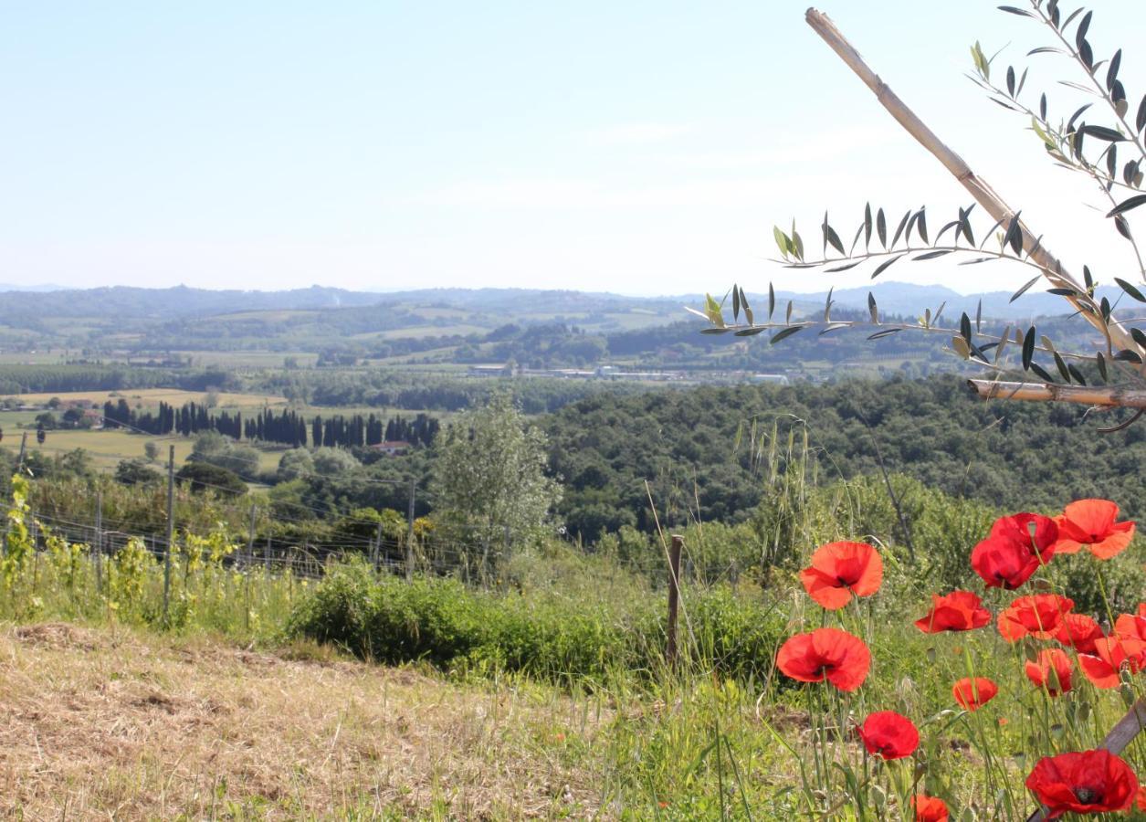 Terricciola Tuscany Life מראה חיצוני תמונה